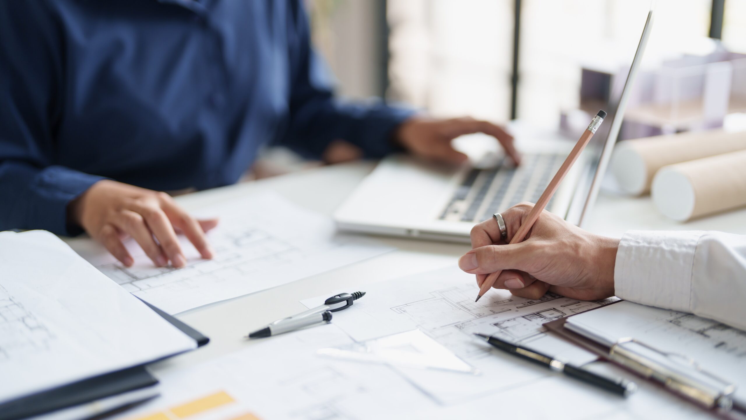 Reunión inicial y análisis del predio